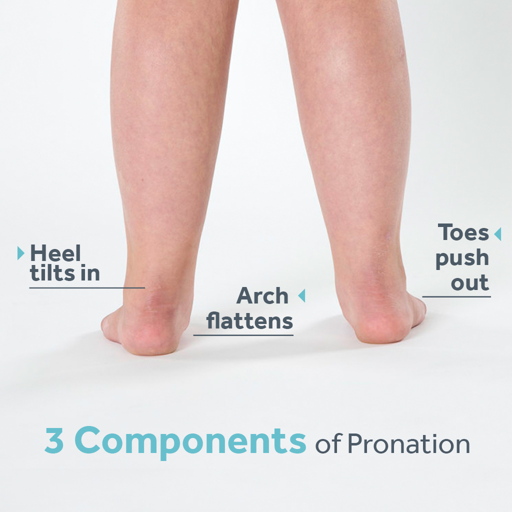 Explanation of three components of pronation